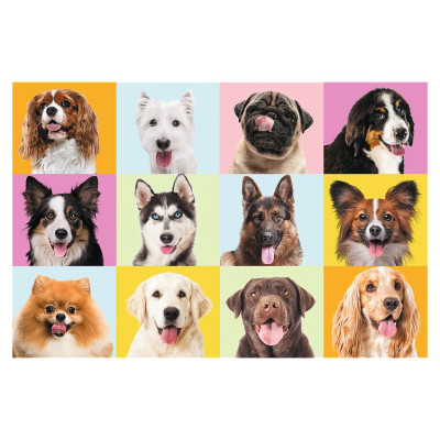 Trefl Puzle kucēni, 60 gab.