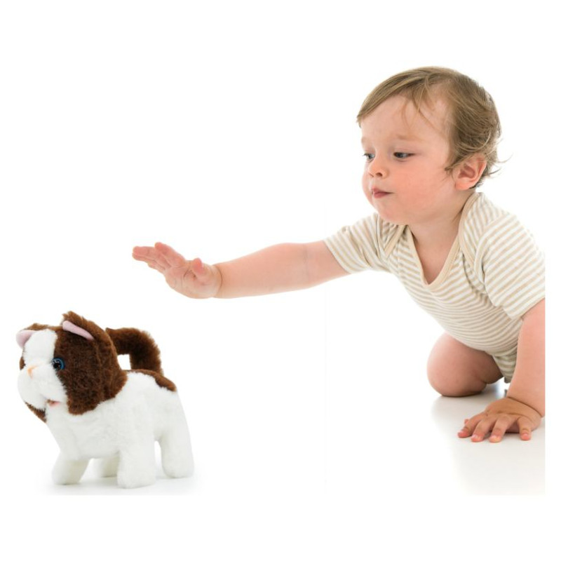 Pugs At Play Staigājo&scaron;s kaķis "Bella"