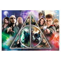 Trefl HARRY POTTER Puzle Harijs Poters, 1000 gab.