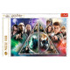 Trefl HARRY POTTER Puzle Harijs Poters, 1000 gab.
