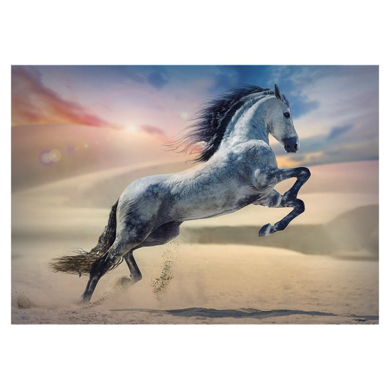 Trefl Puzle Zirgi, 1000 gab.