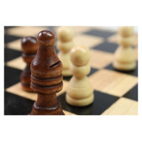 Tactic Galda spēle Šahs Collection Classique