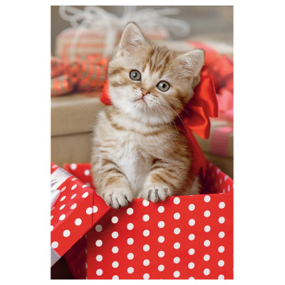 Trefl Puzle 54 Jauki dzīvnieki