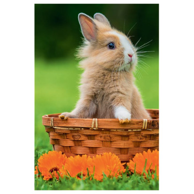 Trefl Puzle 54 Jauki dzīvnieki