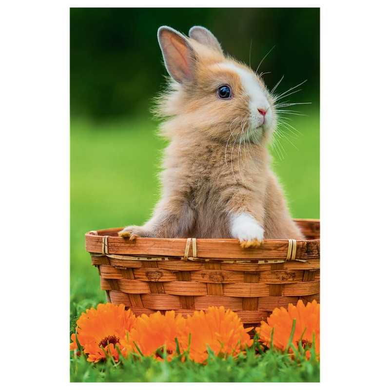 Trefl Puzle 54 Jauki dzīvnieki