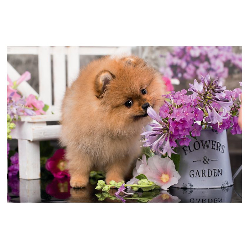 Trefl Puzle 54 Jauki dzīvnieki