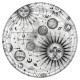 Popsockets 2 Plant Cosmic Sun Phone Holder and Stand
