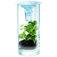 4M Green Science DIY komplekts Zinātne par tīru ūdeni