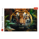 Trefl Puzle Tīģeris, 1000 gab.