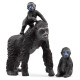 Schleich WILD LIFE Gorillu ģimene