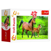 Trefl Puzle 54 Zirgi