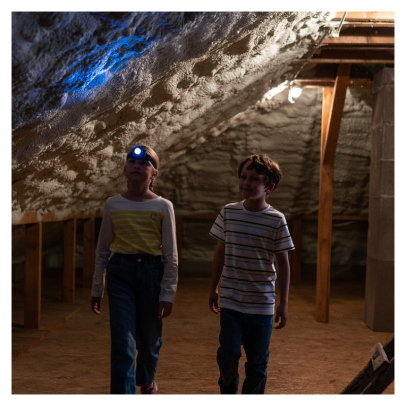 Klein galvas lukturis Bosch