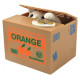 IST Krājkase SMART CAT 22468 [A]