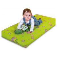 Danpol Matracis KOALA  kokosšķiedru 120x60x6 cm [A]