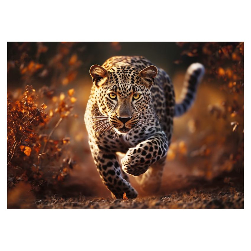 Trefl Premium Plus Puzle Savvaļas leopards, 1000 gab.