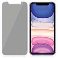 Panzerglass Standard Fit tempered glass privatized for iPhone XR/11