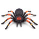 Roboalive interaktīvā rotaļlieta Milzu tarantuls