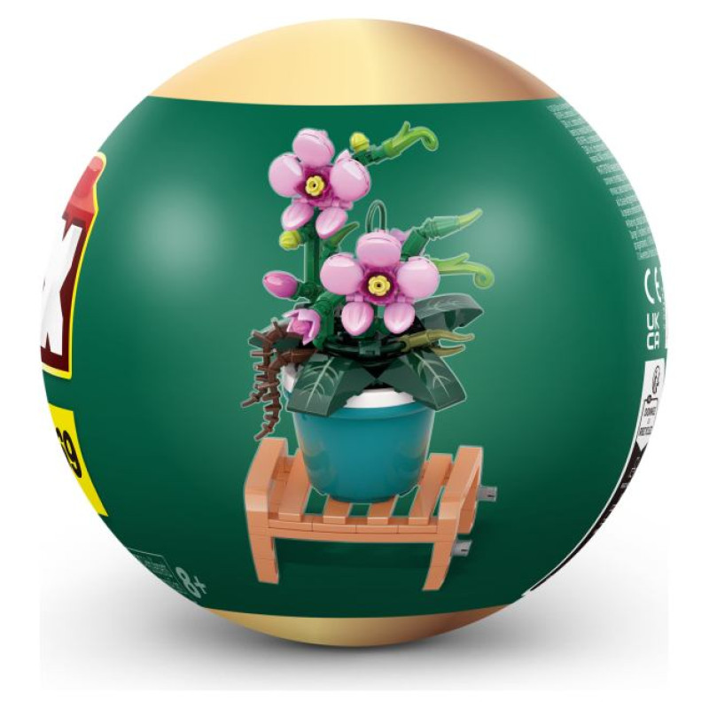 MAX GARDEN Klucī&scaron;u komplekts kapsulā, Istabas augi