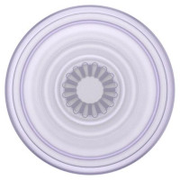 Popsockets PlantCore Grip Dusty Lavender and Phone Stand