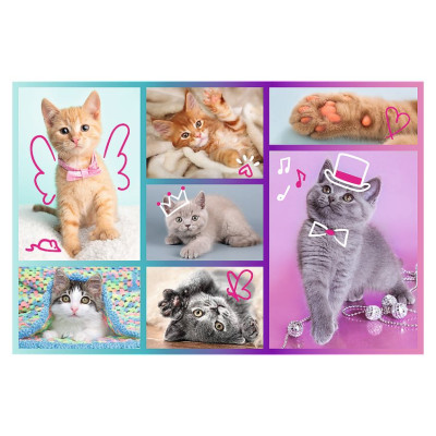 Trefl Puzle "Kaķēni", 60 gab.