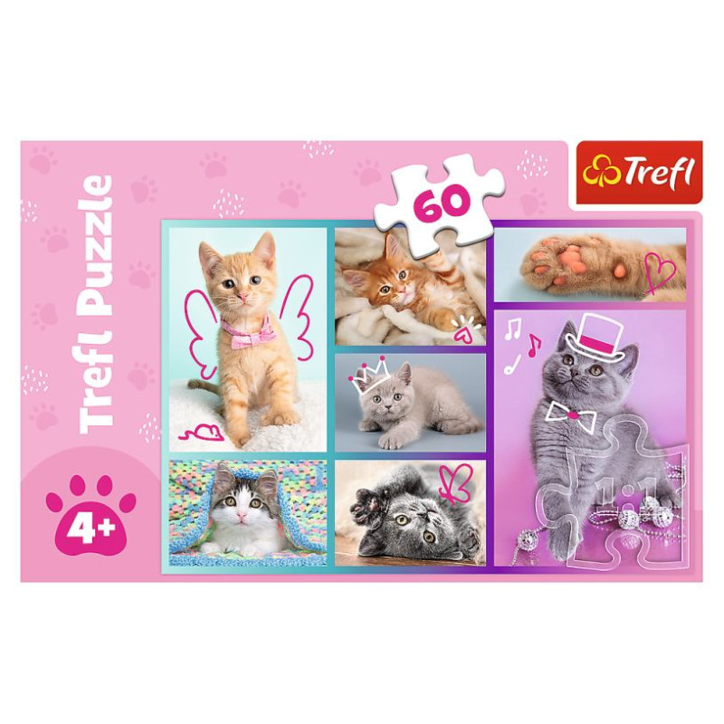 Trefl Puzle "Kaķēni", 60 gab.