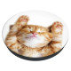 Popsockets 2 Snoozy Cat Holder and Phone Stand