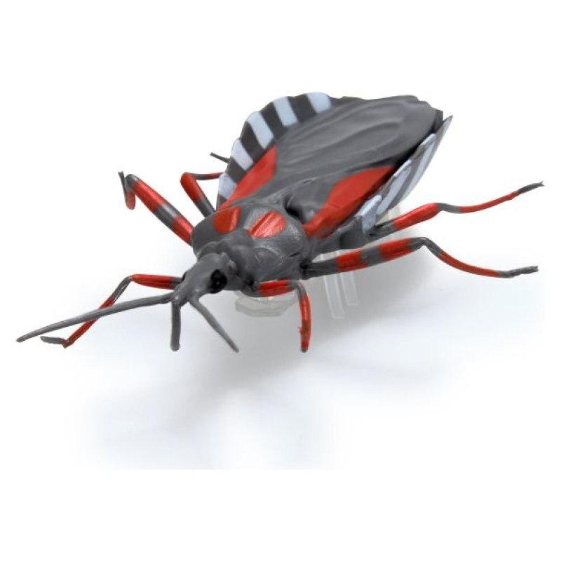 Hex Bots Interaktīvā rotaļlieta Nano reālistiskās vaboles, 5-paka