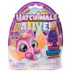 Hatchimals Alive Dzīvnieciņi neona varavīksnes krāsās necaurspīdīgajā iepakojumā