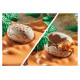 Playmobil DINO Stegozaura ligzda ar olu zagli 71526