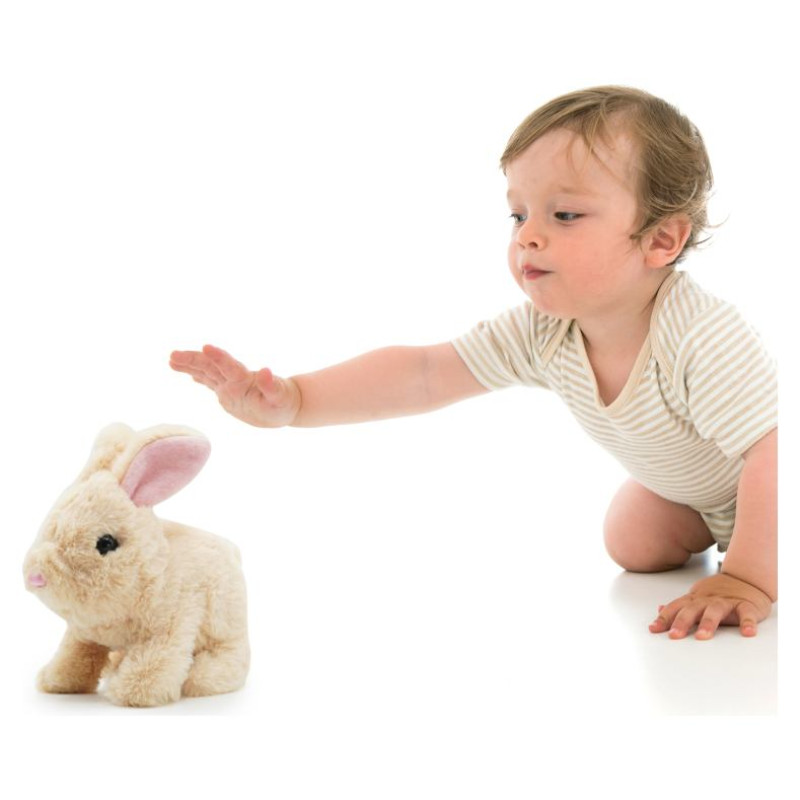 Pugs At Play Lēkājo&scaron;s zaķis "Cookie"