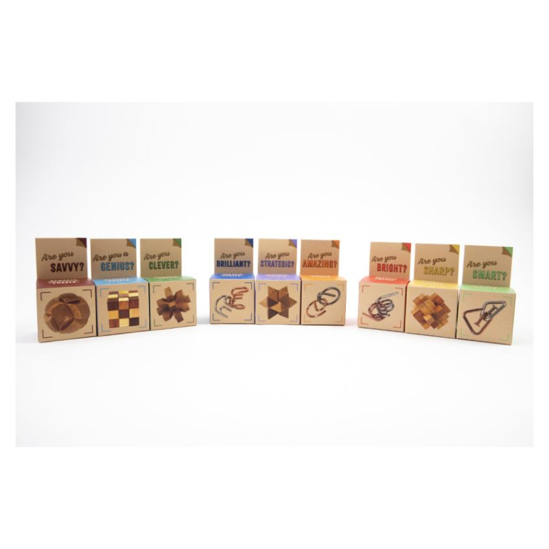 Recent Toys Loģikas spēle "Are You Series"