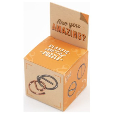 Recent Toys Loģikas spēle "Are You Series"