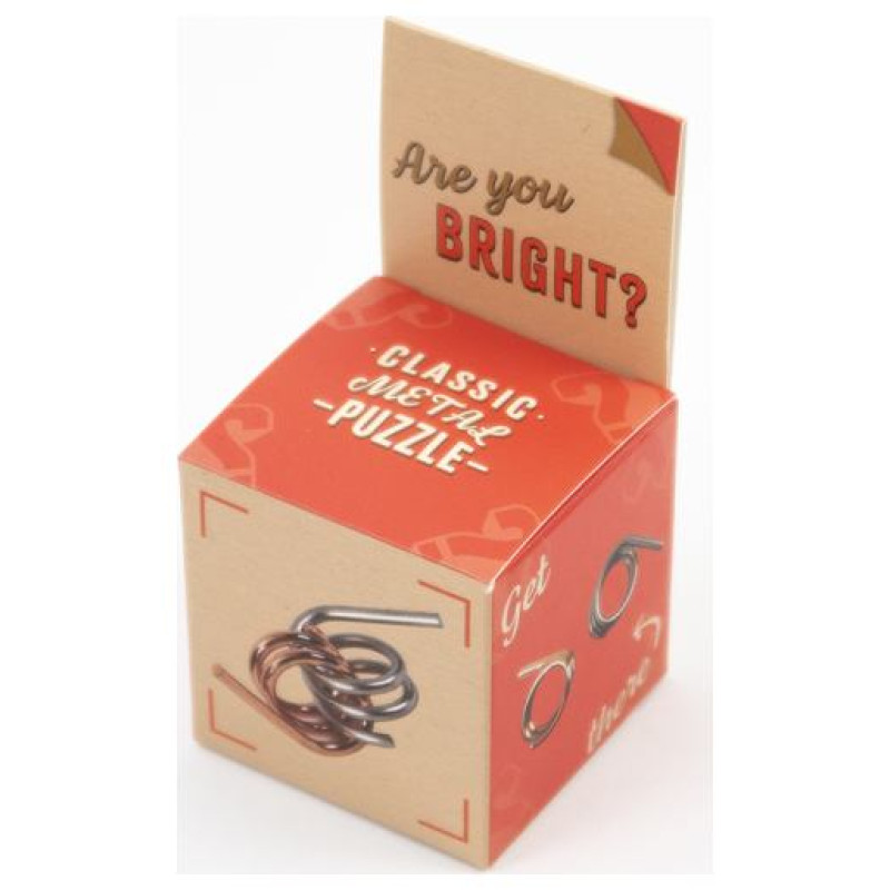 Recent Toys Loģikas spēle "Are You Series"