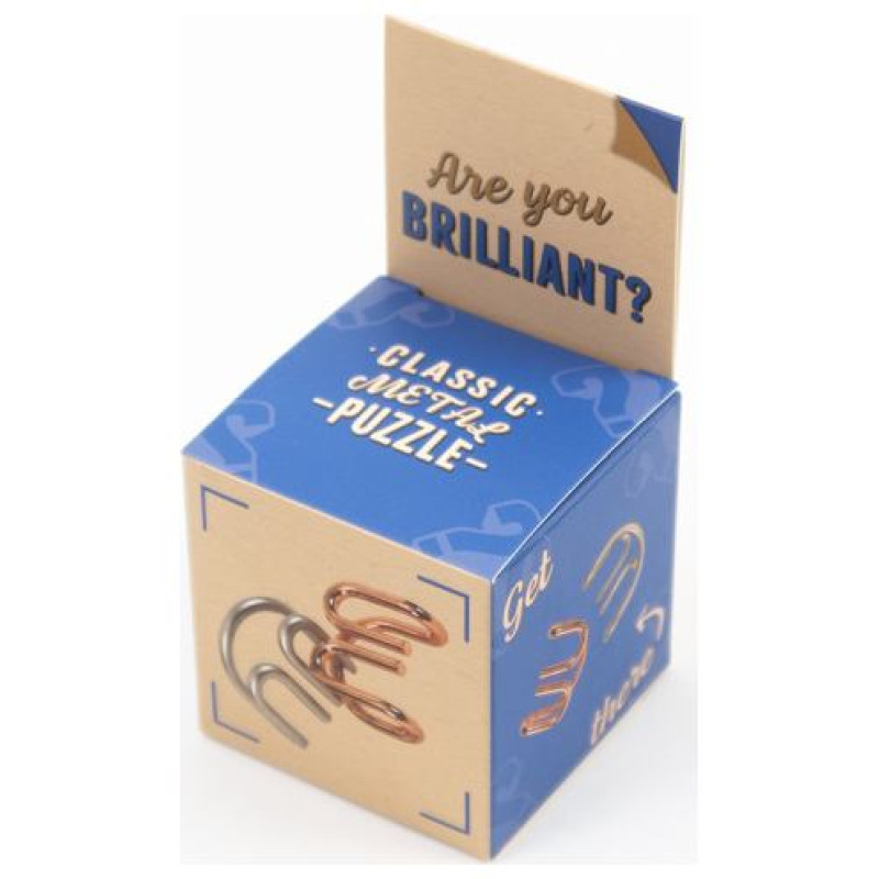 Recent Toys Loģikas spēle "Are You Series"