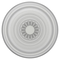 Popsockets PlantCore Grip Faded Stone Phone Holder and Stand
