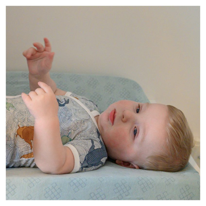 Lodger Romper Empire Fish kokvilnas bodijs ar īsām piedurknēm, Dusty turqoise, 62 cm - RF 081_62