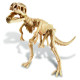 4M Izroc Trex