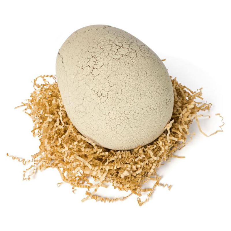 Primal Hatch Interaktīva rotaļlieta Jurassic Hatching Dino