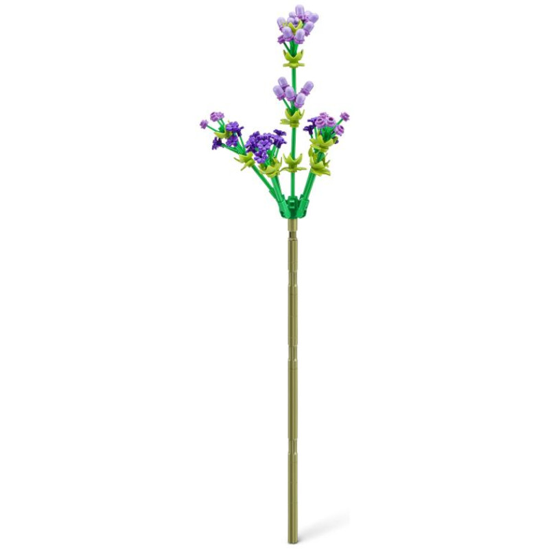 MAX ROSE Klucī&scaron;u komplekts kapsulā