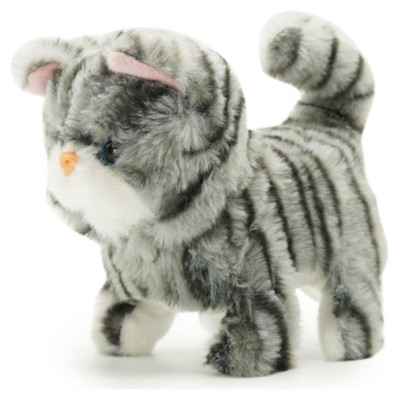 Pugs At Play Staigājo&scaron;s kaķis "Zoe"