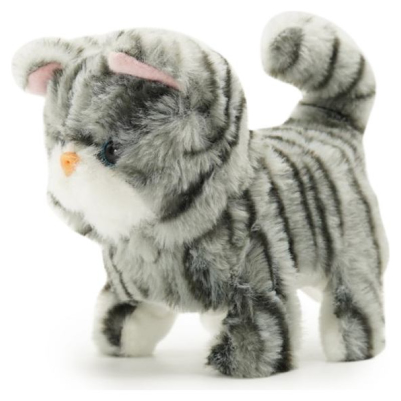 Pugs At Play Staigājo&scaron;s kaķis "Zoe"