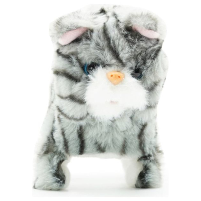 Pugs At Play Staigājo&scaron;s kaķis "Zoe"