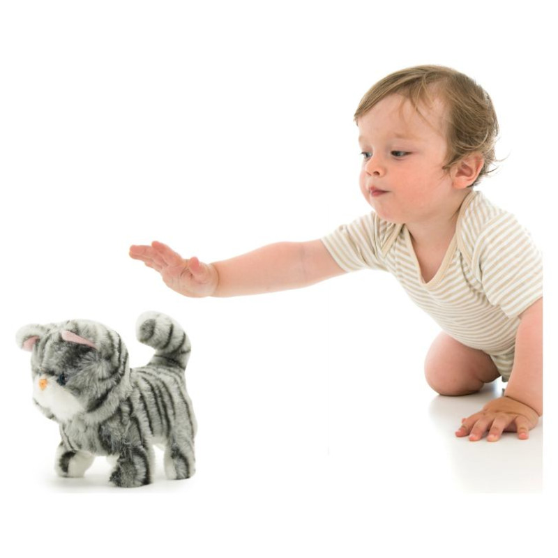 Pugs At Play Staigājo&scaron;s kaķis "Zoe"