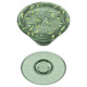 Popsockets PlantCore Grip Olive and Phone Stand