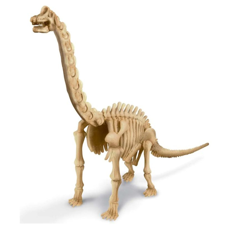 4M Izrakumu komplekts Brahiozaura skelets