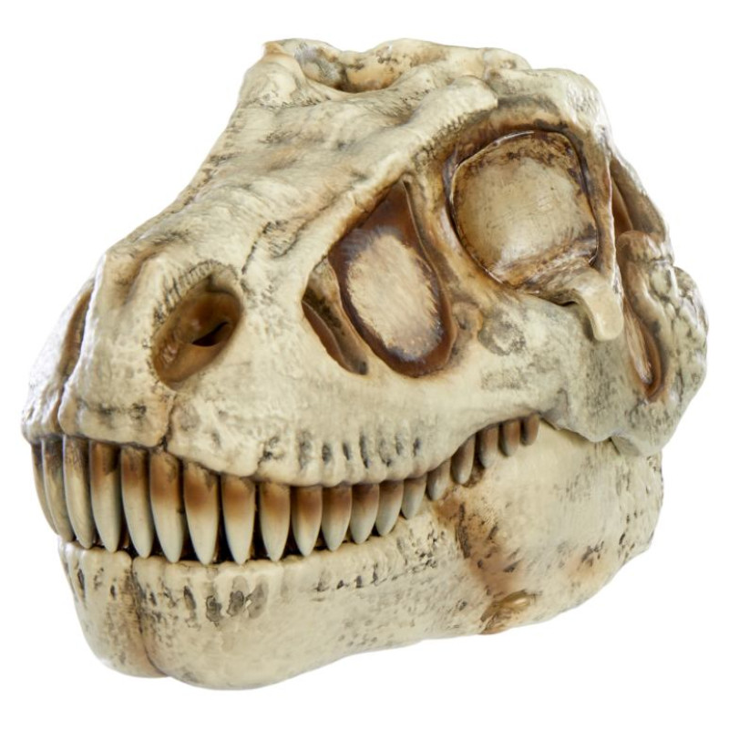 Grossmos Interaktīvs komplekts Dino