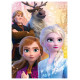 Trefl FROZEN Mini Maxi Puzle Ledus Sirds 2, 20 gab.