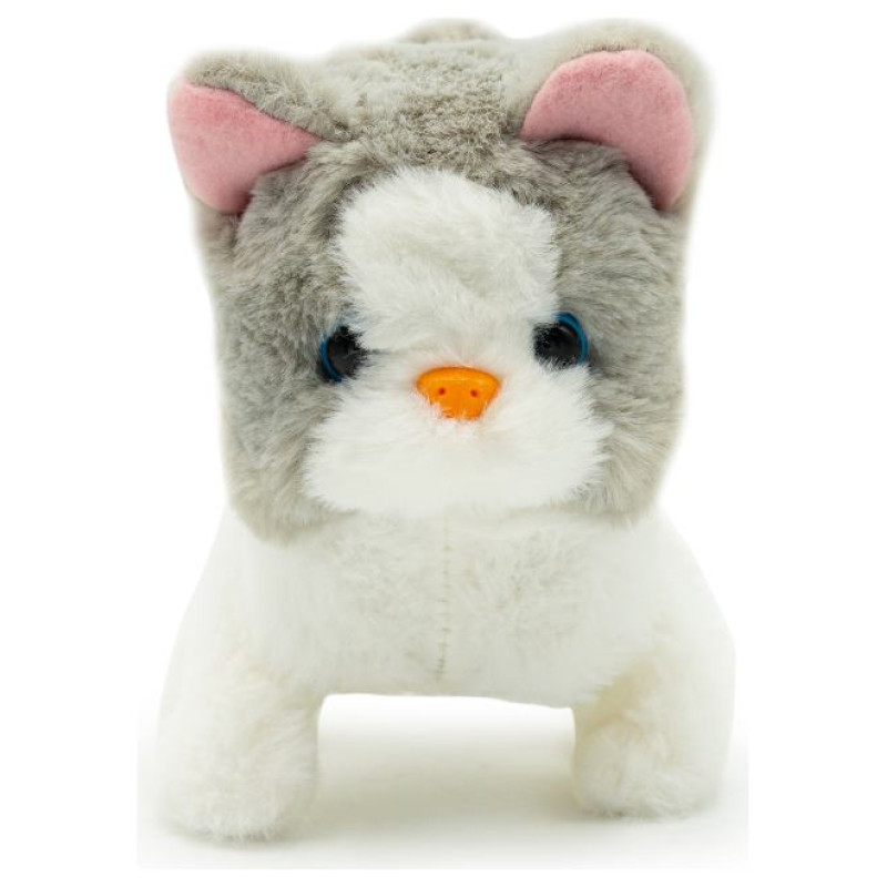 Pugs At Play Staigājo&scaron;s kaķis "Sasha"