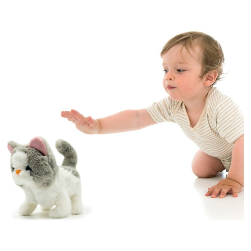 Pugs At Play Staigājo&scaron;s kaķis "Sasha"