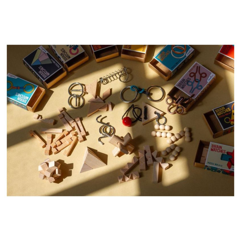 Recent Toys Loģikas spēle Brain Matches